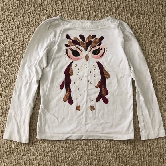 Crazy 8 Other - Crazy 8 long sleeve owl tee shirt